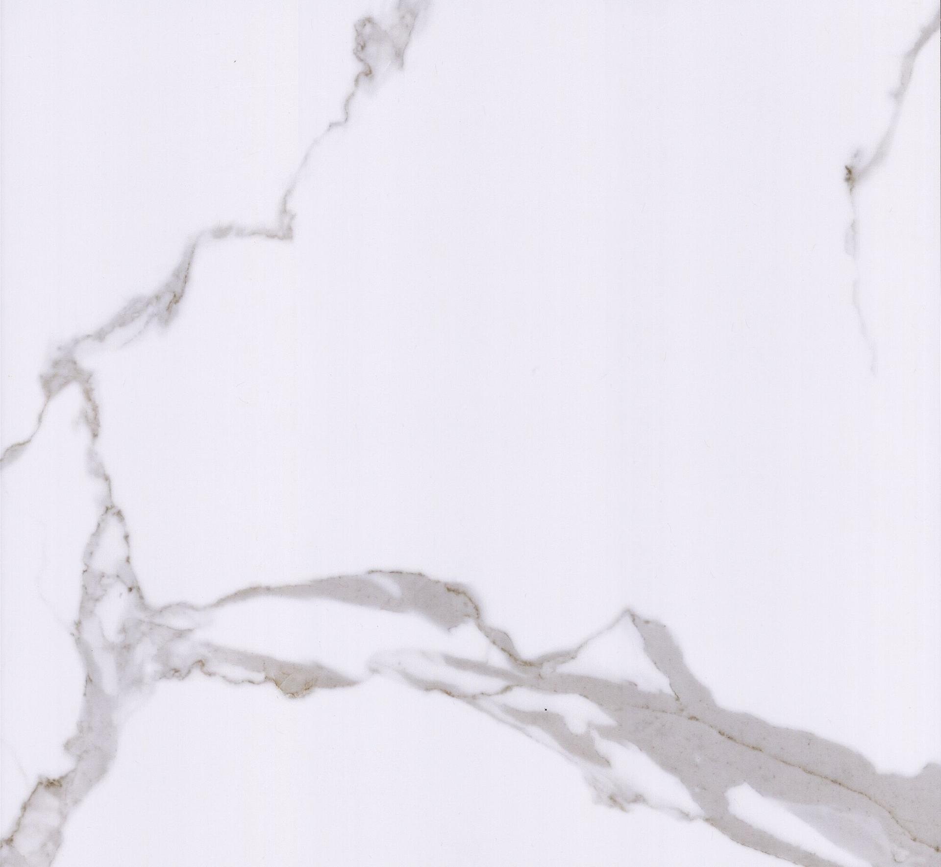 Carrara white Marble tiles Full polished marble tiles 60x60 80x80cm/24x24' 32x32'