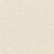 Light gray full body Polished Spots tiles VBDT001 60X60CM/24X24'