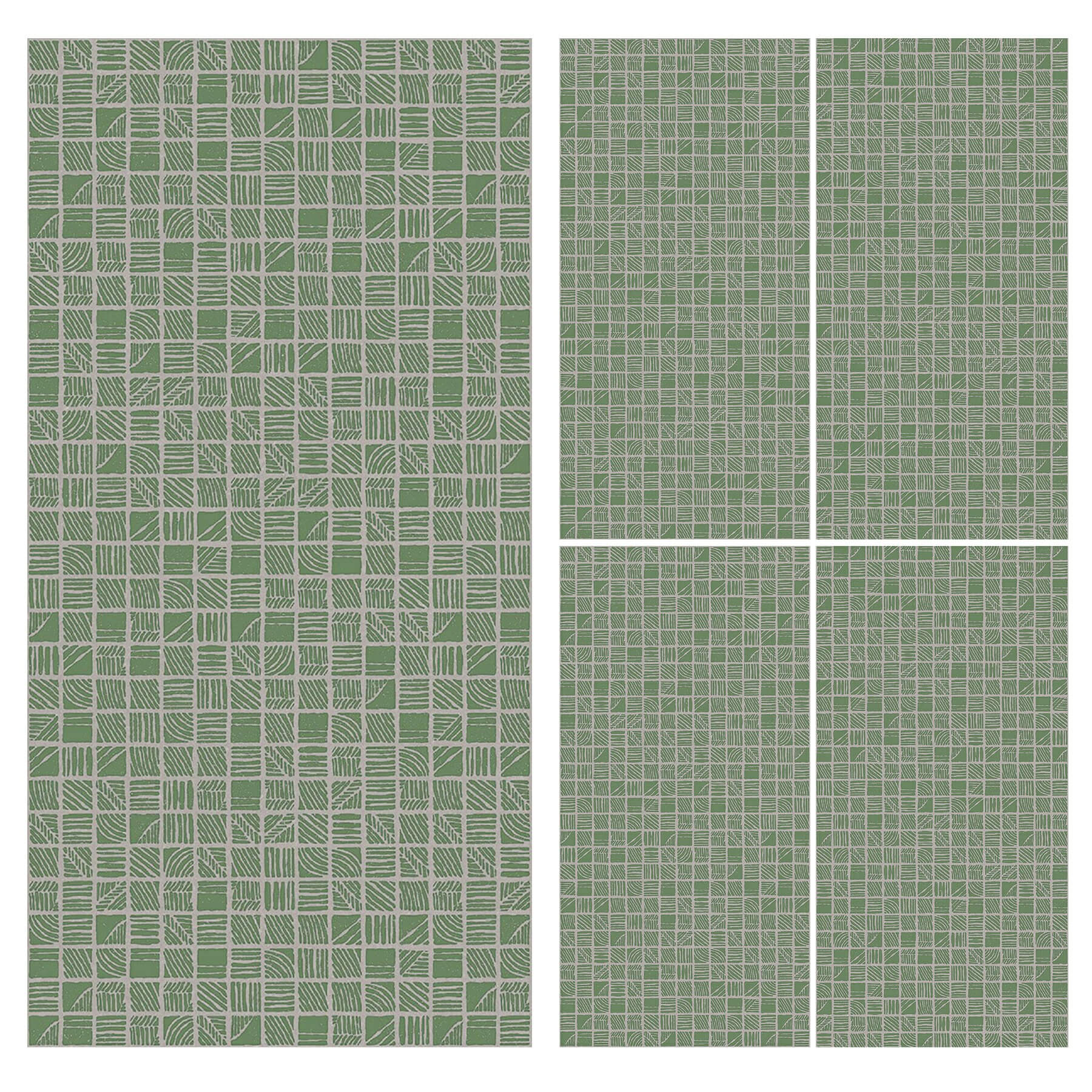 NORWEGIAN FOREST - 图片 2